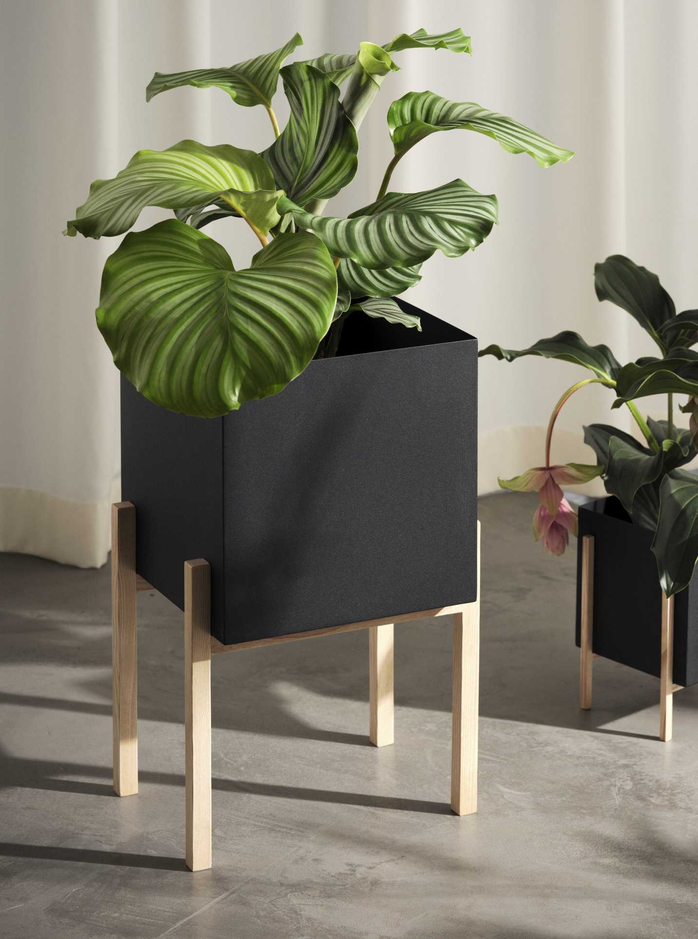 Design House Stockholm BOTANIC  PEDESTAL POT -ruukku