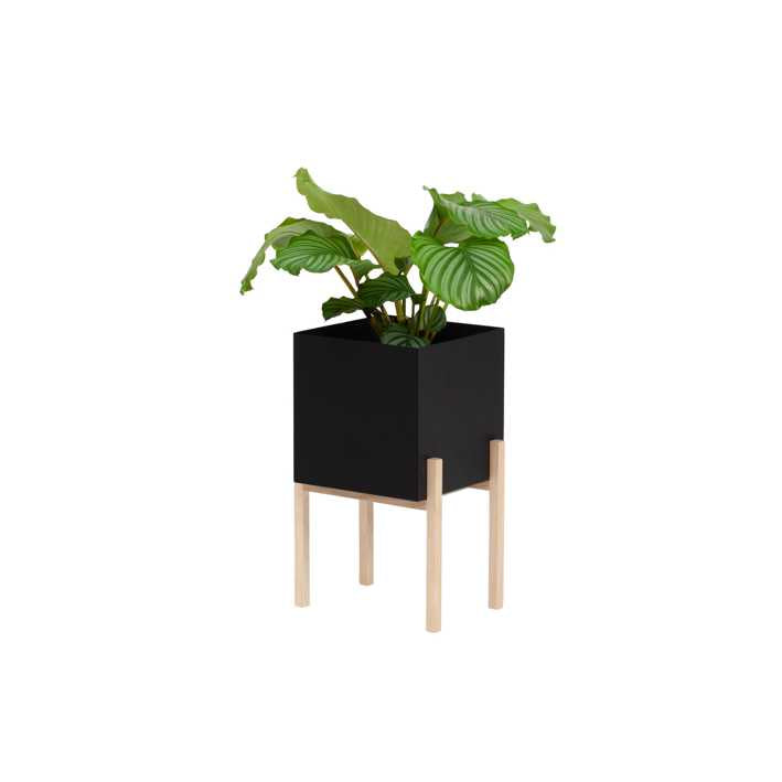 Design House Stockholm BOTANIC  PEDESTAL POT -ruukku